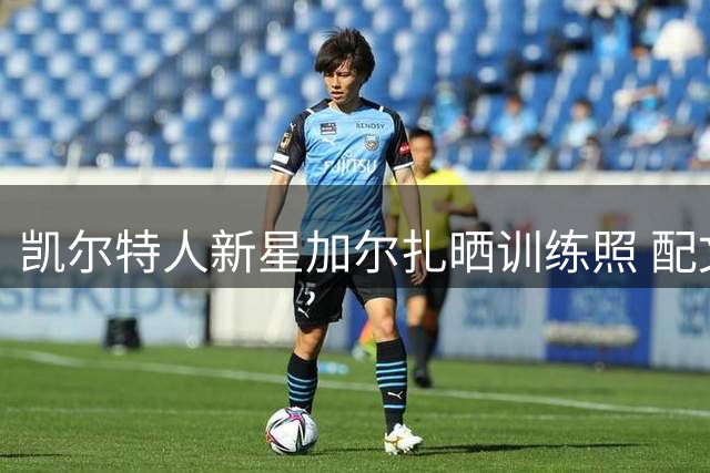 凯尔特人新星加尔扎晒训练照 配文"夏日特训
