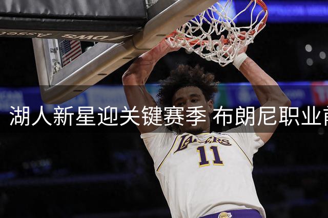 湖人新星迎关键赛季 布朗尼职业前景面临挑战