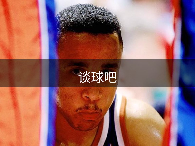 网站概况